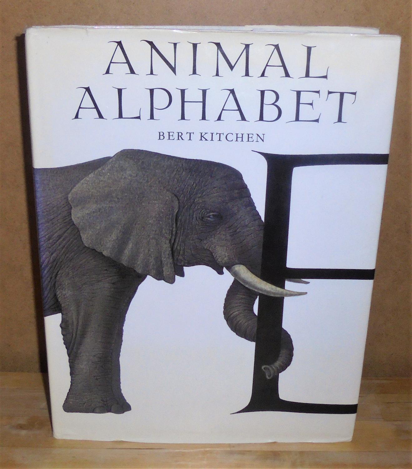Animal Alphabet - Kitchen, Bert