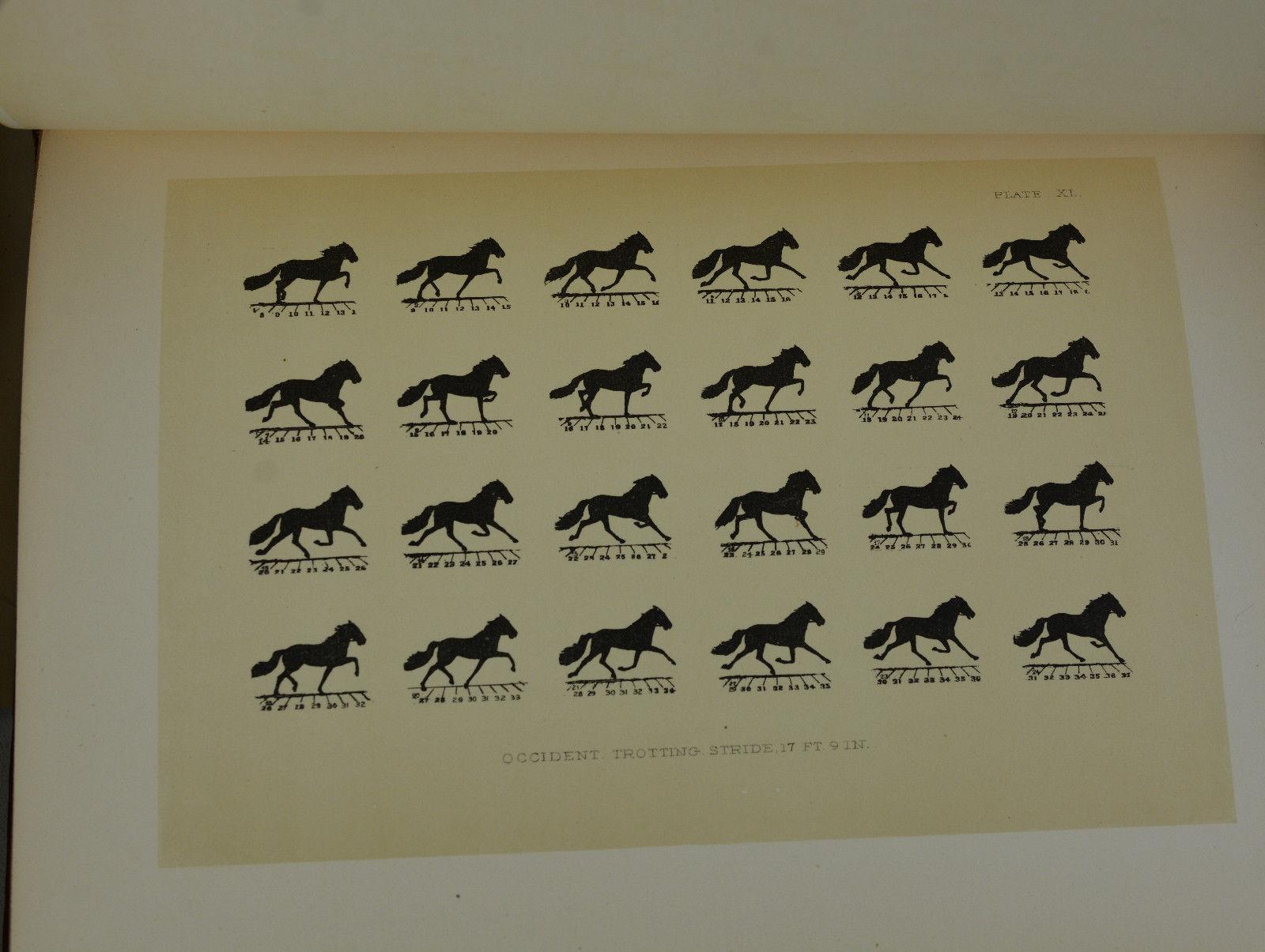 Horse　Hardcover　ABAA　Very　First　Good　in　Muybridge,　Eadweard　The　by　Motion　[Photographs]:　Rare　Stillman,　(1882)　Burnside　Edition.　Books,