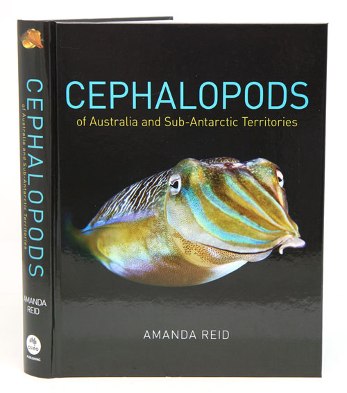 Cephalopods of Australia and Sub-Antarctic territories. - Reid, Amanda.