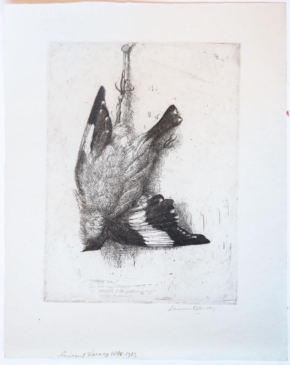 [Modern print, etching] Dead bird hanging (