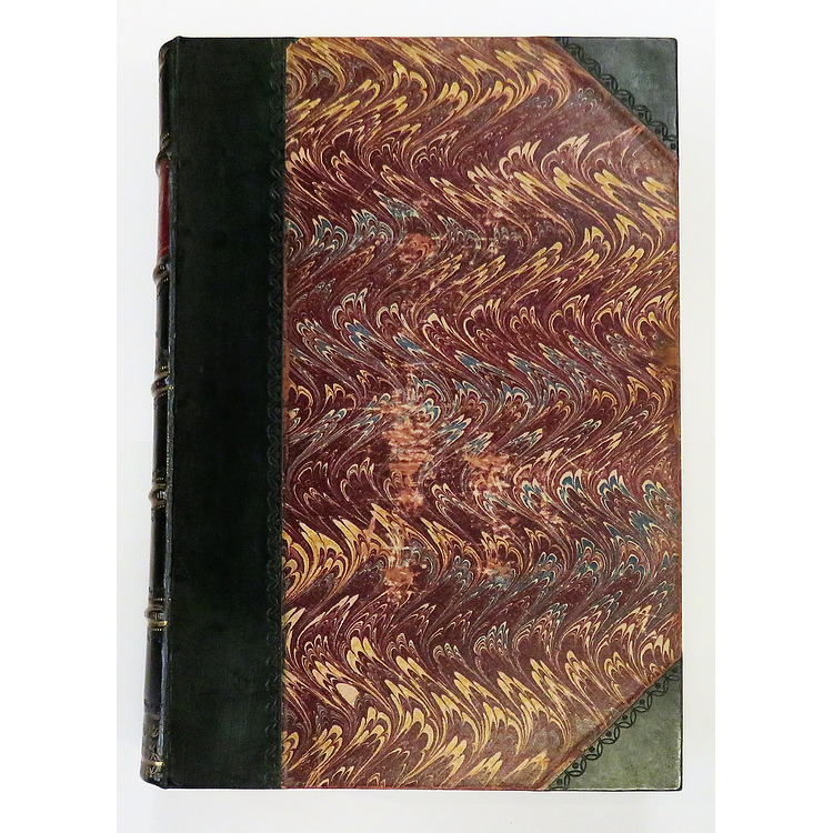 A History Of The Vegetable Kingdom Embracing Comprehensive Descriptions