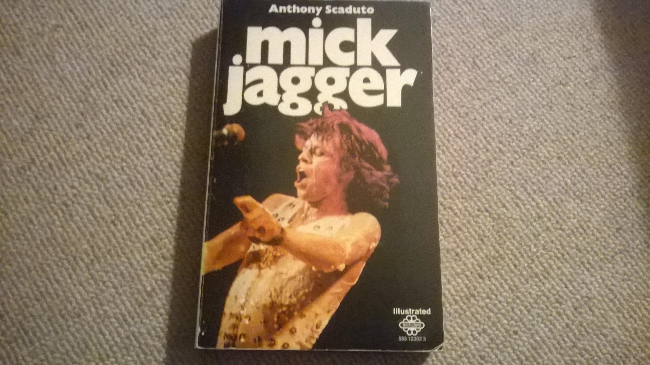 Mick Jagger - Anthony Scaduto