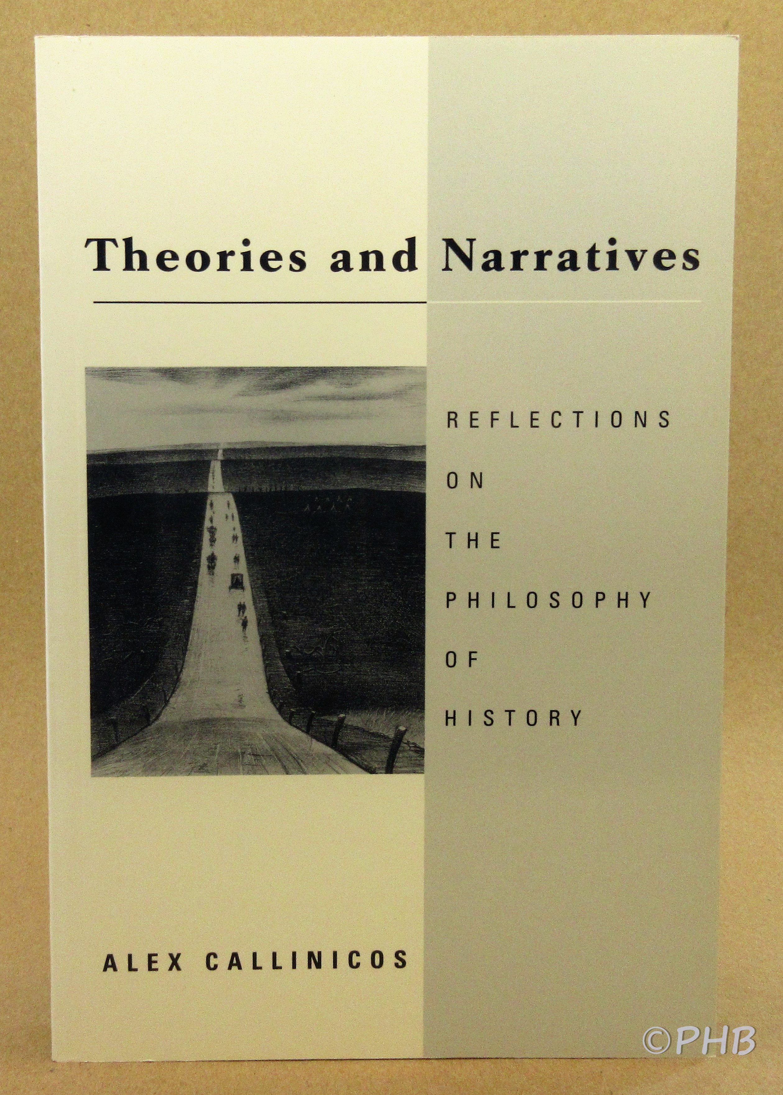 Theories and Narratives: Reflections on the Philosophy of History - Callinicos, Alex