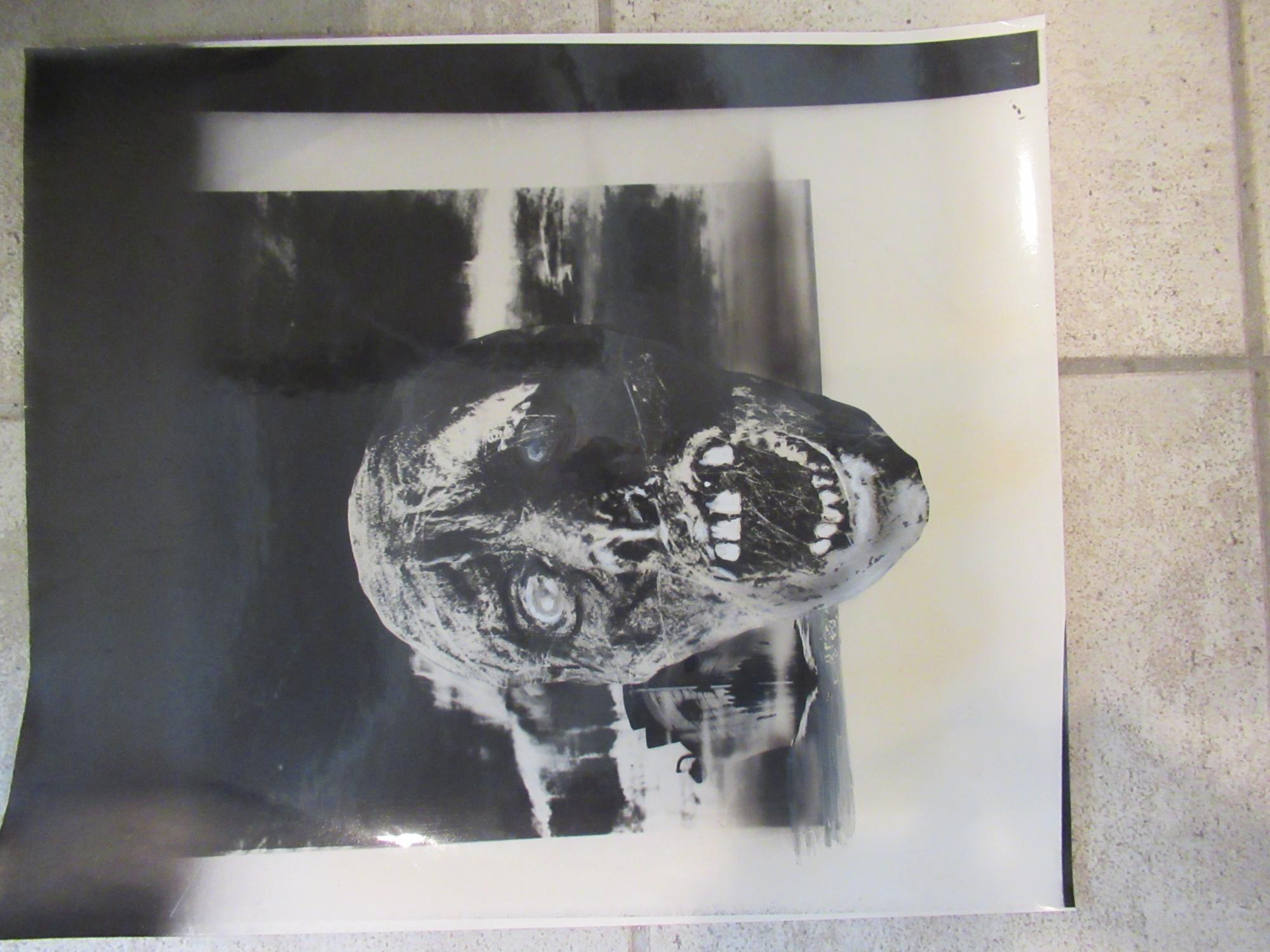 Original Photograph, Special Effects, Horror Genre, Screaming Dead Head