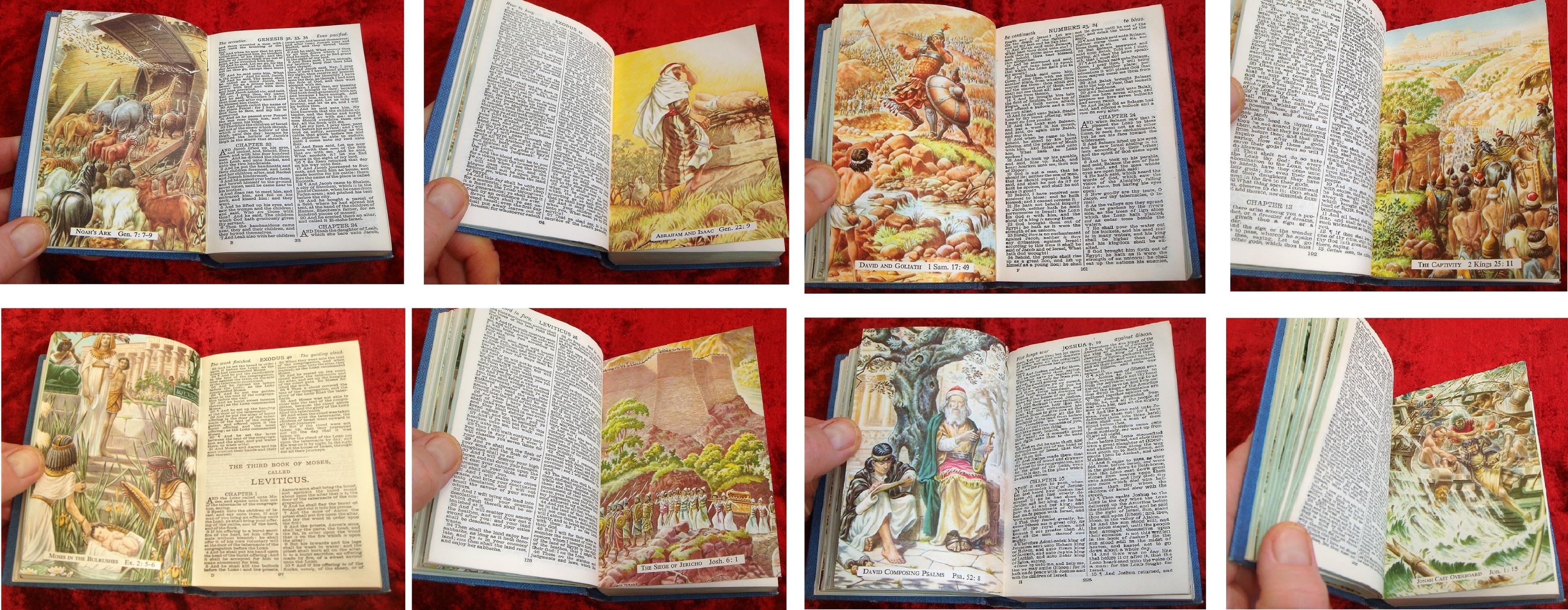 CAMBRIDGE PICTURE BIBLE by MOSES & OTHER DEVOTED MEN: Fine Hardcover ...
