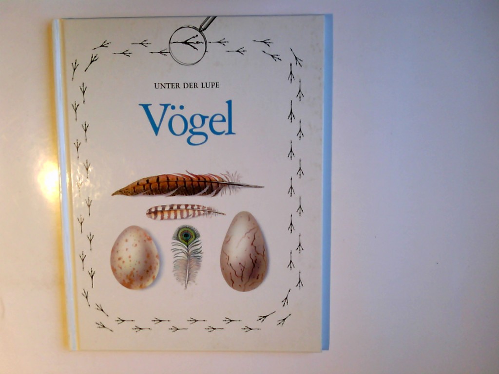 Vögel. Anita Ganeri. Ill. von Danny Flynn. Übers.: Marcus Würmli. Bearb.: Friederike Naroska / Unter der Lupe - Ganeri, Anita, Danny Flynn und Friederike Naroska