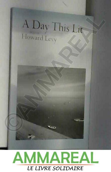 A Day This Lit: Poems - Howard Levy