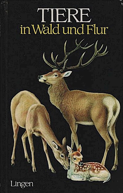 Tiere In Wald Und Flur / Text: Vladimir Hank. Ill.: Kv?toslav Hisek