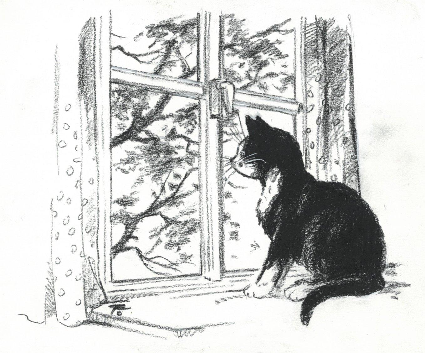 KATZEN. Katze am Fenster sitzend. Art / Print / Poster