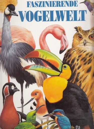 Faszinierende Vogelwelt.