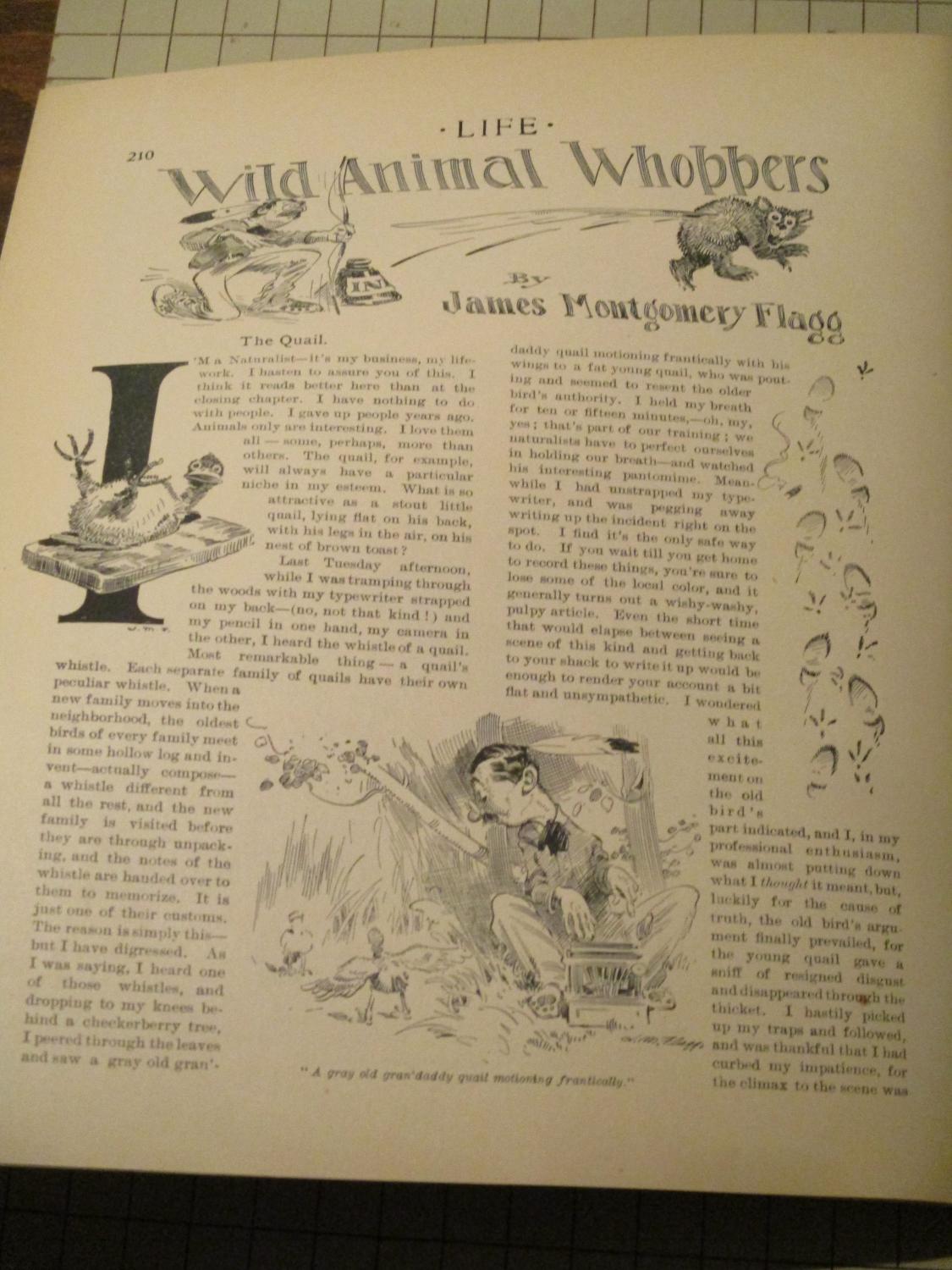 Whopper Poem 1904 Life Magazine: Maxfield Parrish - Saint Patrick Cover - Frogville ...