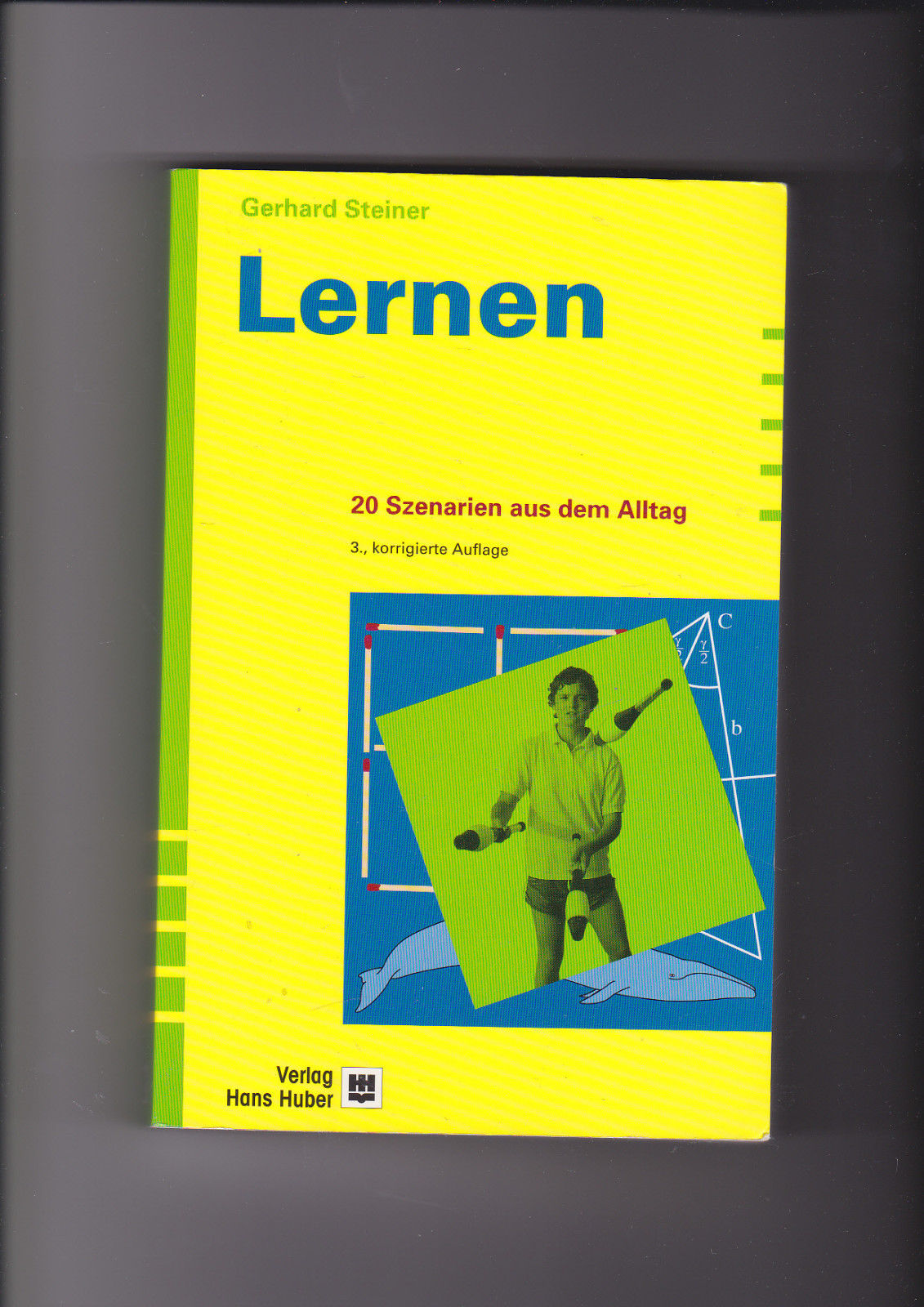 Gerhard Steiner, Lernen - 20 Szenarien aus dem Alltag - Steiner, Gerhard