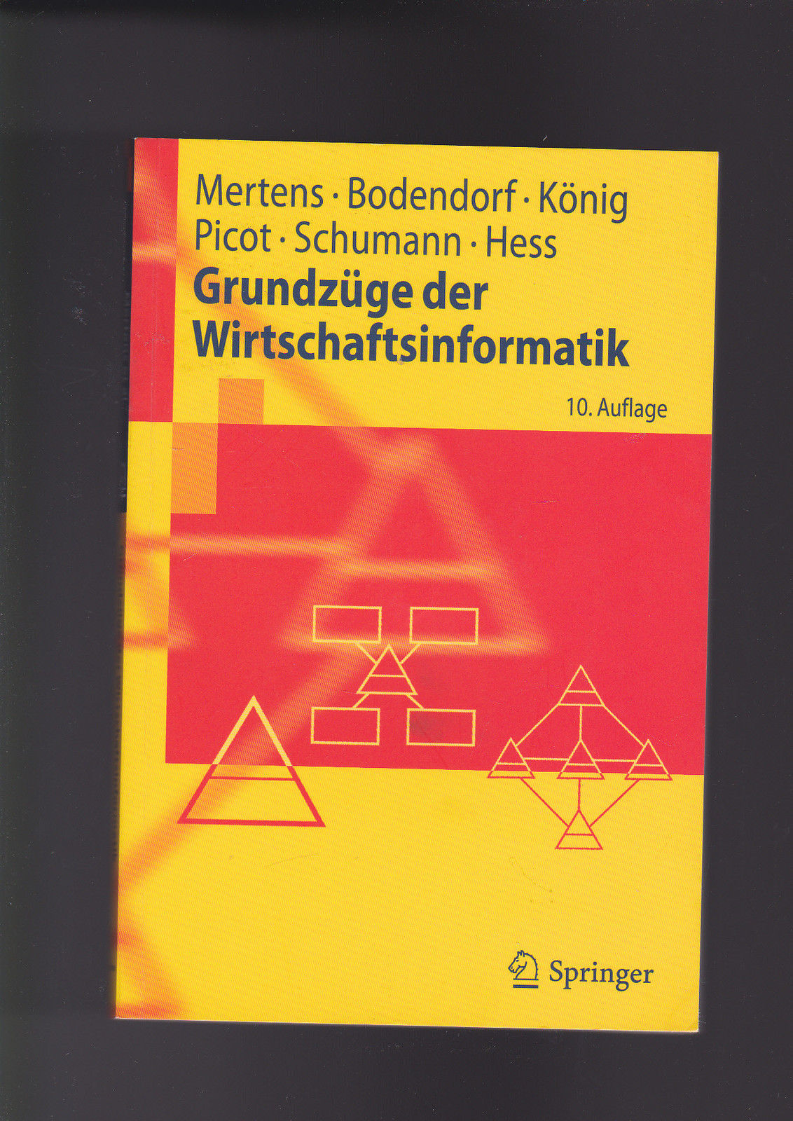 Mertens, Bodendorf, Picot u.a., Grundzüge der Wirtschaftsinformatik - Mertens Bodendorf und Picot