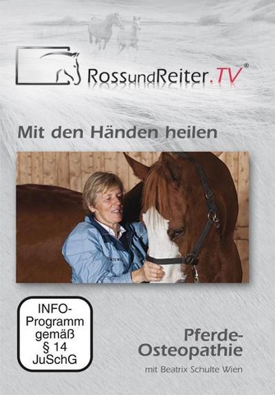 Mit den Händen heilen - Pferde-Osteopathie mit Beatrix Schulte Wien - Beatrix Schulte Wien
