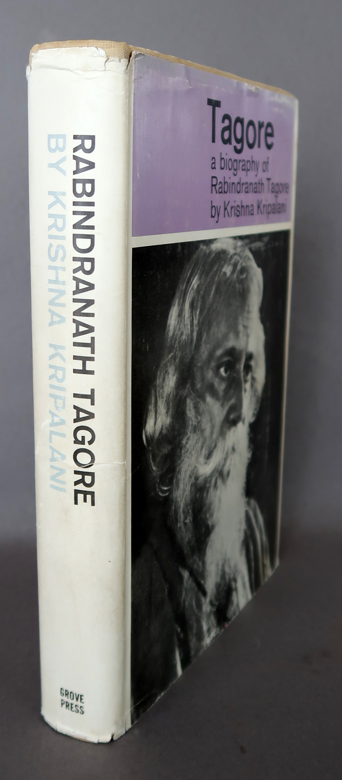 rabindranath tagore biography book name