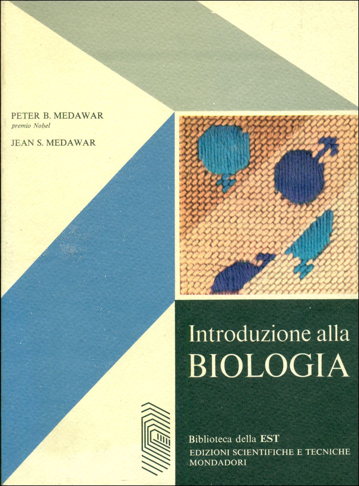 Introduzione alla biologia - Le basi biochimiche della vita - Le basi ...