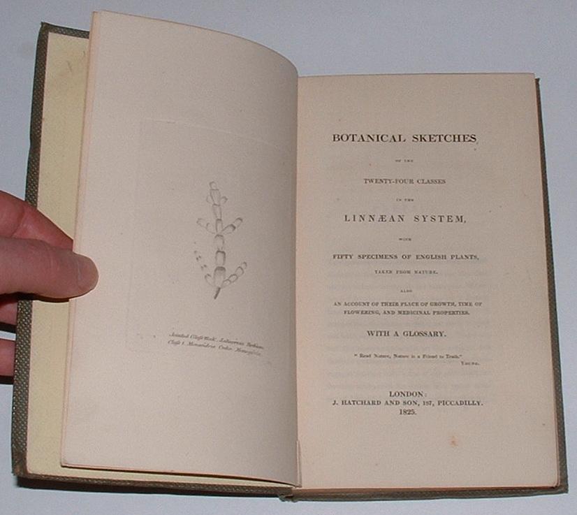 Botanical Sketches of the Twenty-Four Classes in the Linnaean System ...