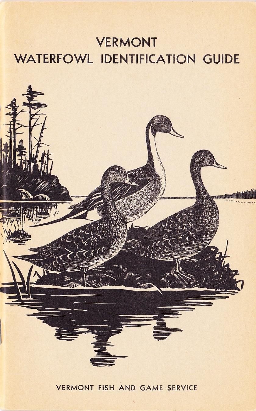 Vermont Waterfowl Identification Guide. by Miller, William R