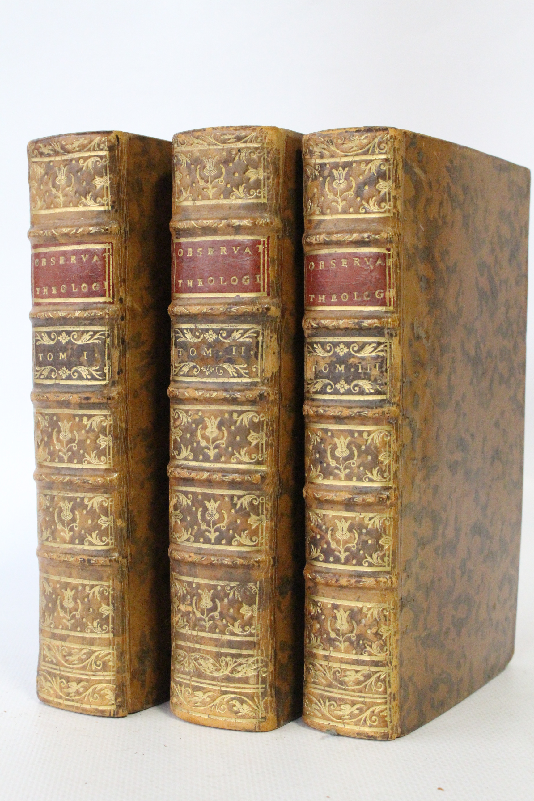 Observations theologiques et morales, sur le livre du pere Berruyer