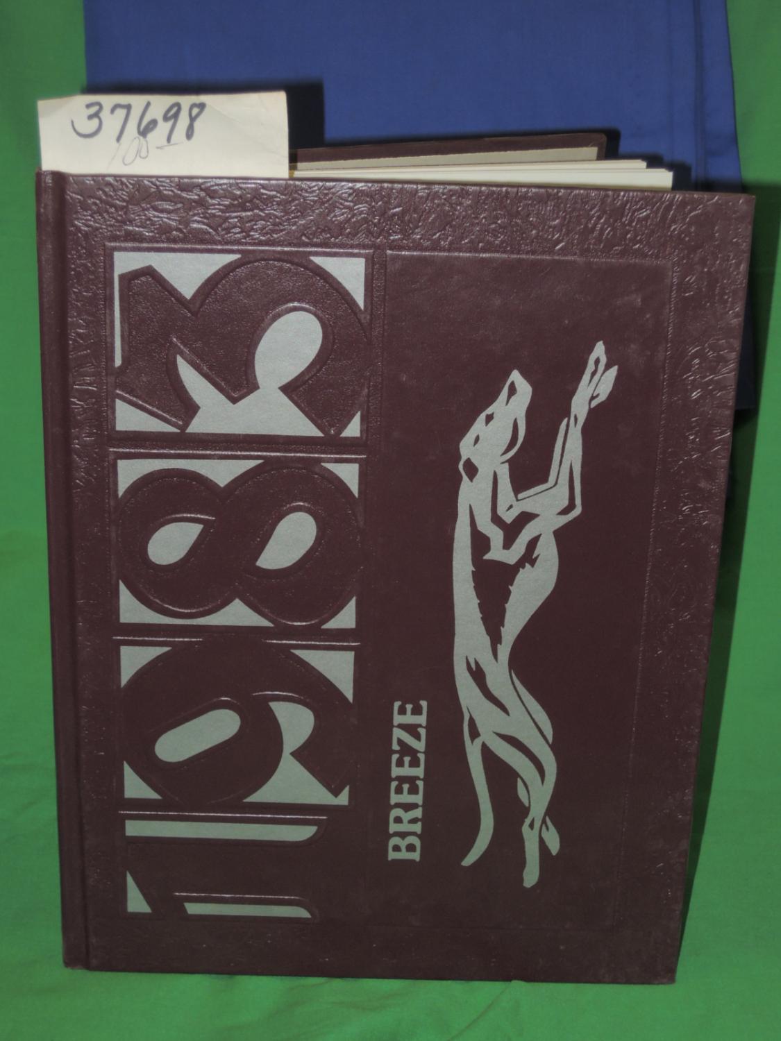 pleasantville a novel pleasantville a novel