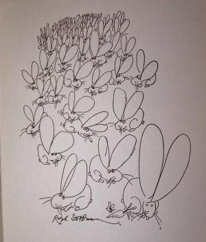 THE RABBIT by Lucie Smith, Edward ; [Signed] ; Ralph Steadman ...