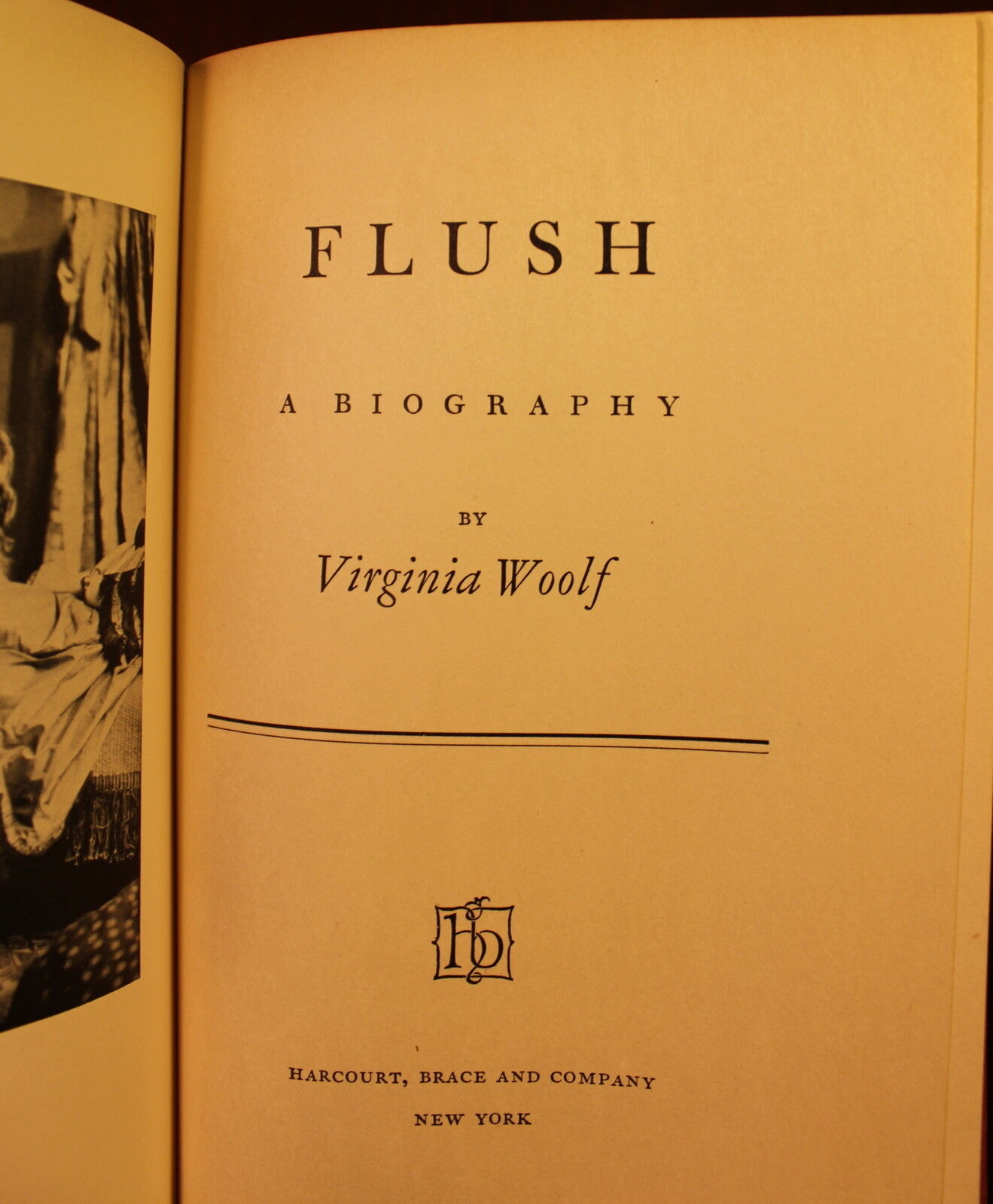 virginia woolf flush a biography