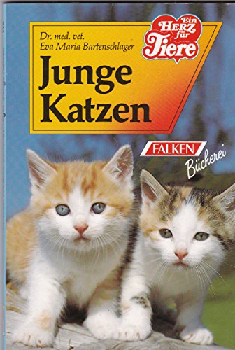 Junge Katzen. Eva Maria Bartenschlager. [Zeichn.: Ute Kuhn] / Falken-Bücherei; Die Tiersprechstunde - Bartenschlager, Eva Maria (Verfasser)