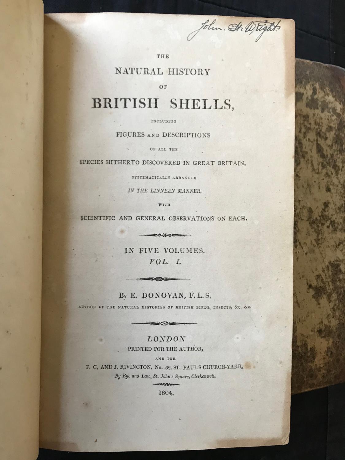 The Natural History of British Shells, including Figures and ...