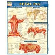 Fetal Pig - Perez, Vincent