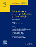 Actualizaciones en Cirugía Ortopédica y Traumatología 6 - SECOT Actualizaciones 6 (Fernández) / Fernández, L.