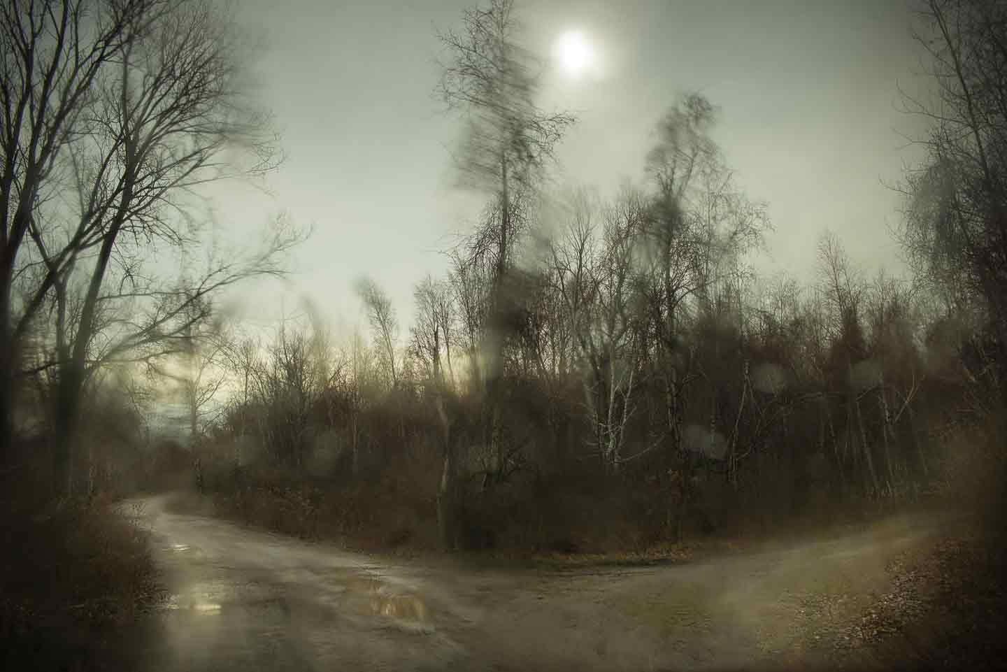 Todd Hido: Bright Black World, Deluxe Limited Edition Suite Todd Hido: Bright Black World, Deluxe Limited Edition Suite