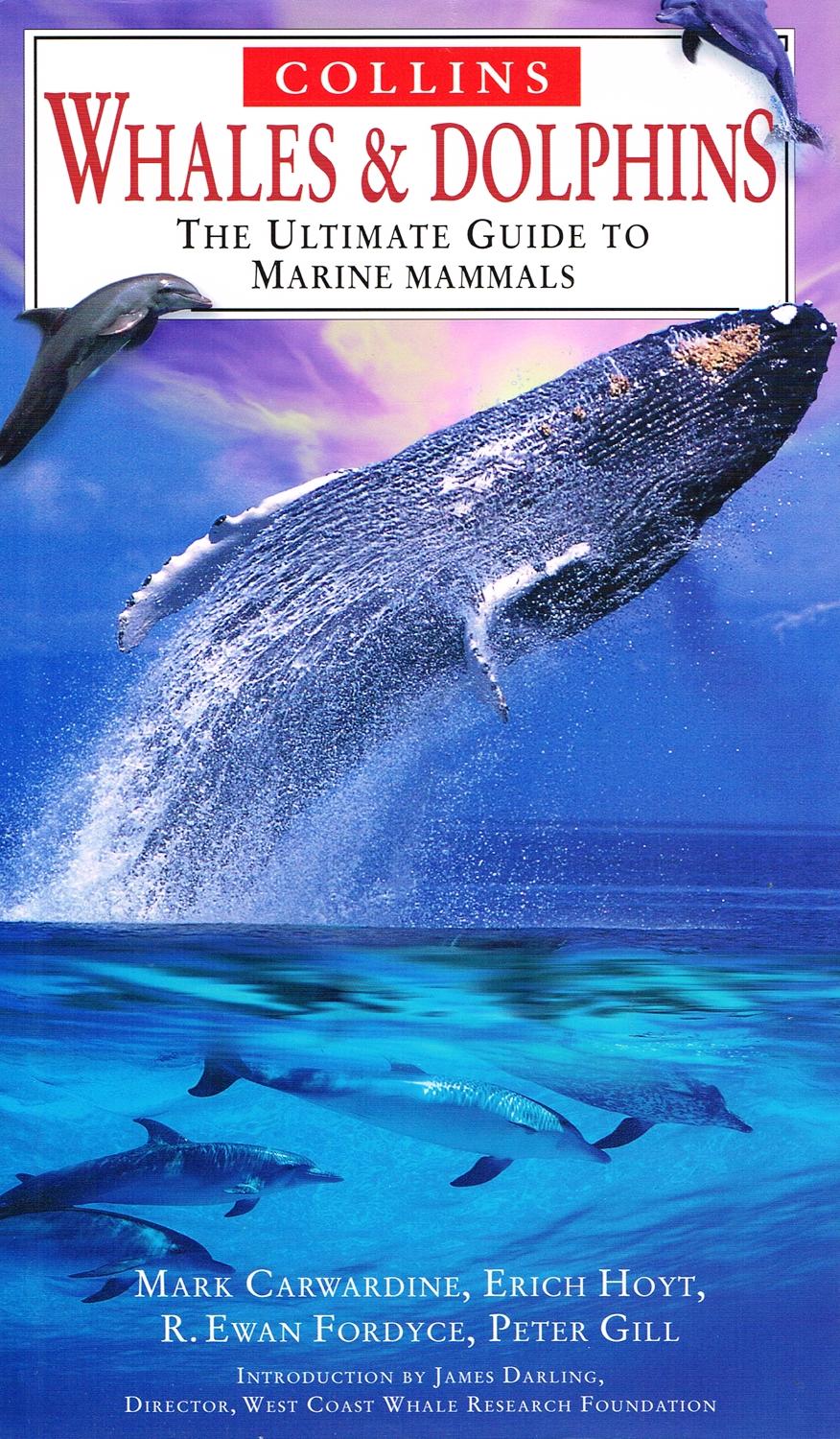 Whales & Dolphins : The Ultimate Guide To Marine Mammals : by Various ...