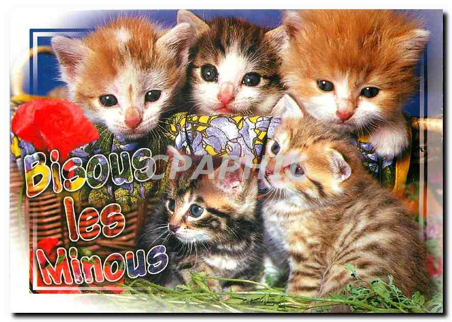 Carte Postale Ancienne Bisous les Minous Chats Chat Chatons: Manuscript ...