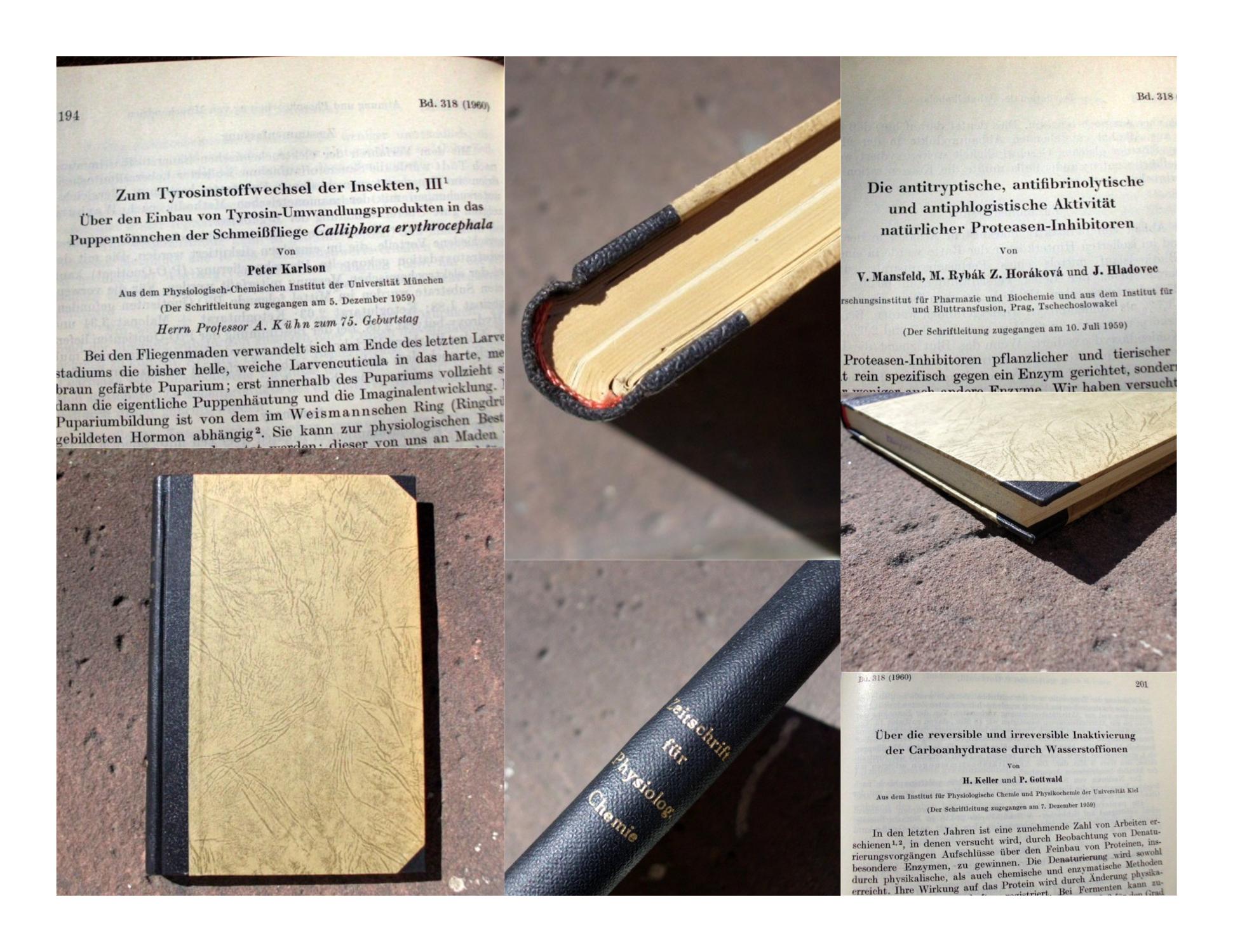 Hoppe-Seyler’s Zeitschrift für physiologische Chemie, fortgeführt von A