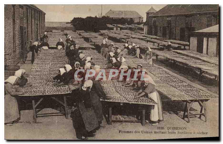 Carte Postale Ancienne Poisson Poissons Quiberon Femmes Des Usines Mettant Leurs Sardines A Secher Peche Manuscript Nbsp Nbsp Paper Nbsp Collectible Cpaphil Carte Postale Ancienne Poisson Poissons Quiberon Femmes Des Usines Mettant Leurs Sardines A Secher Peche Manuscript Nbsp Nbsp Paper Nbsp Collectible Cpaphil