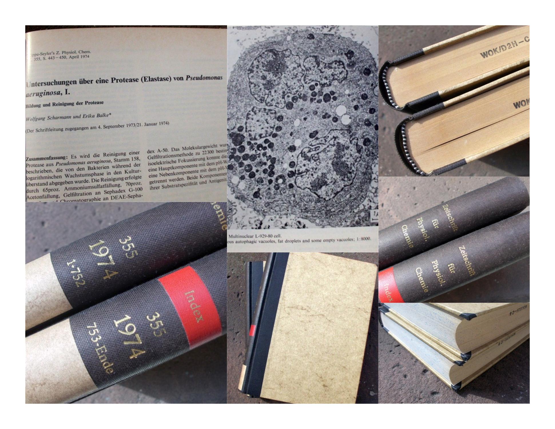 Hoppe-Seyler’s Zeitschrift für Physiologische Chemie. Fortgeführt von A