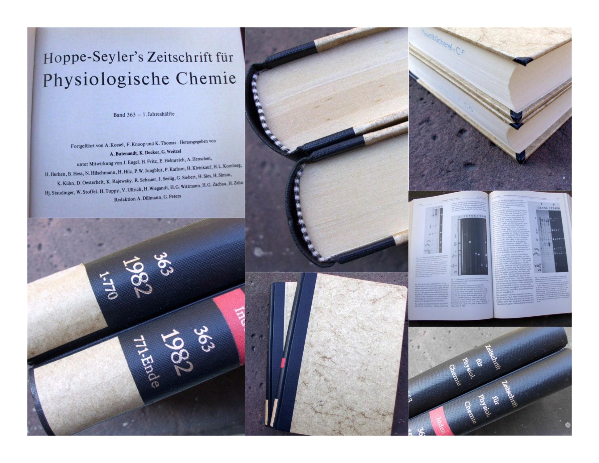 Hoppe-Seyler’s Zeitschrift für Physiologische Chemie. Fortgeführt von A