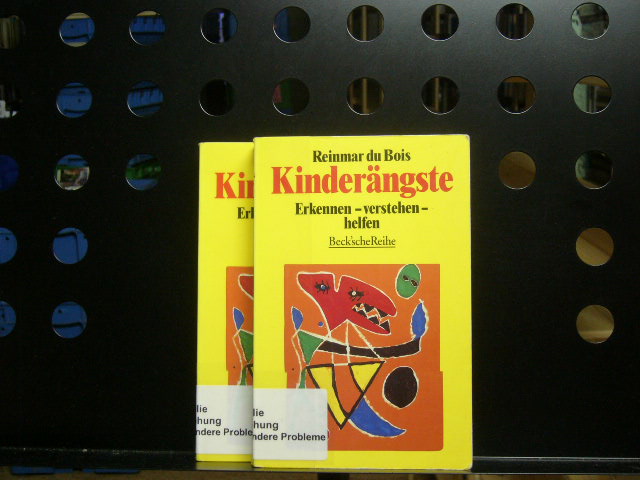 Kinderängste. Erkenne, verstehen, helfen - Bois, Reinmar du