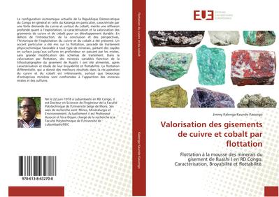 Valorisation des gisements de cuivre et cobalt par flottation : Flottation à la mousse des minerais du gisement de Ruashi I en RD Congo. Caractérisation, Broyabilité et flottabilité. - Jimmy Kalenga Kaunde Kasongo