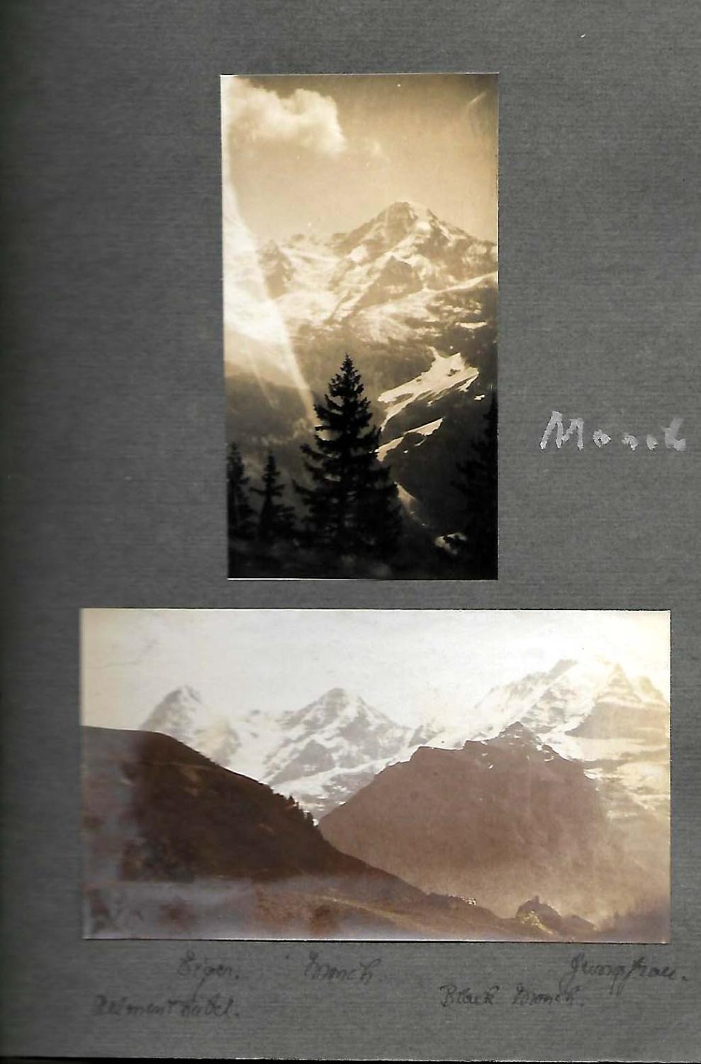 Album Fotografico Ritagli Libro Avventure Album Fotografico - Temu  Switzerland