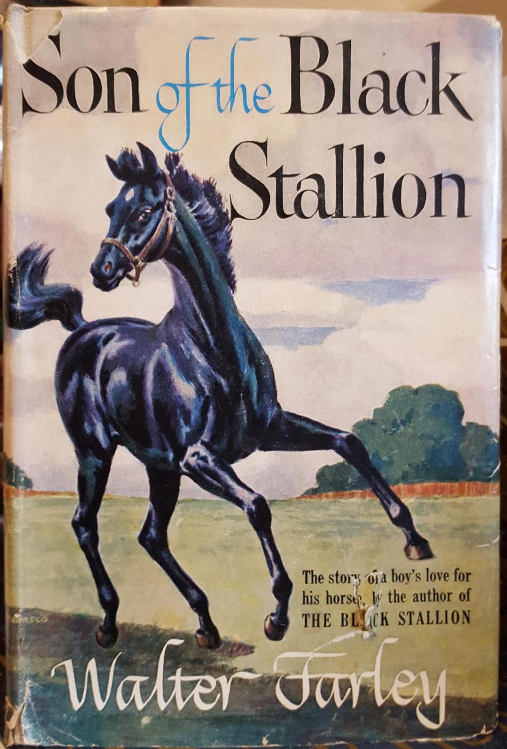 Son of the Black Stallion by Farley, Walter: Fine Hardcover (1947) 1st  Edition | Winding Road Books