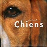 Chiens - Bacchella, Adriano