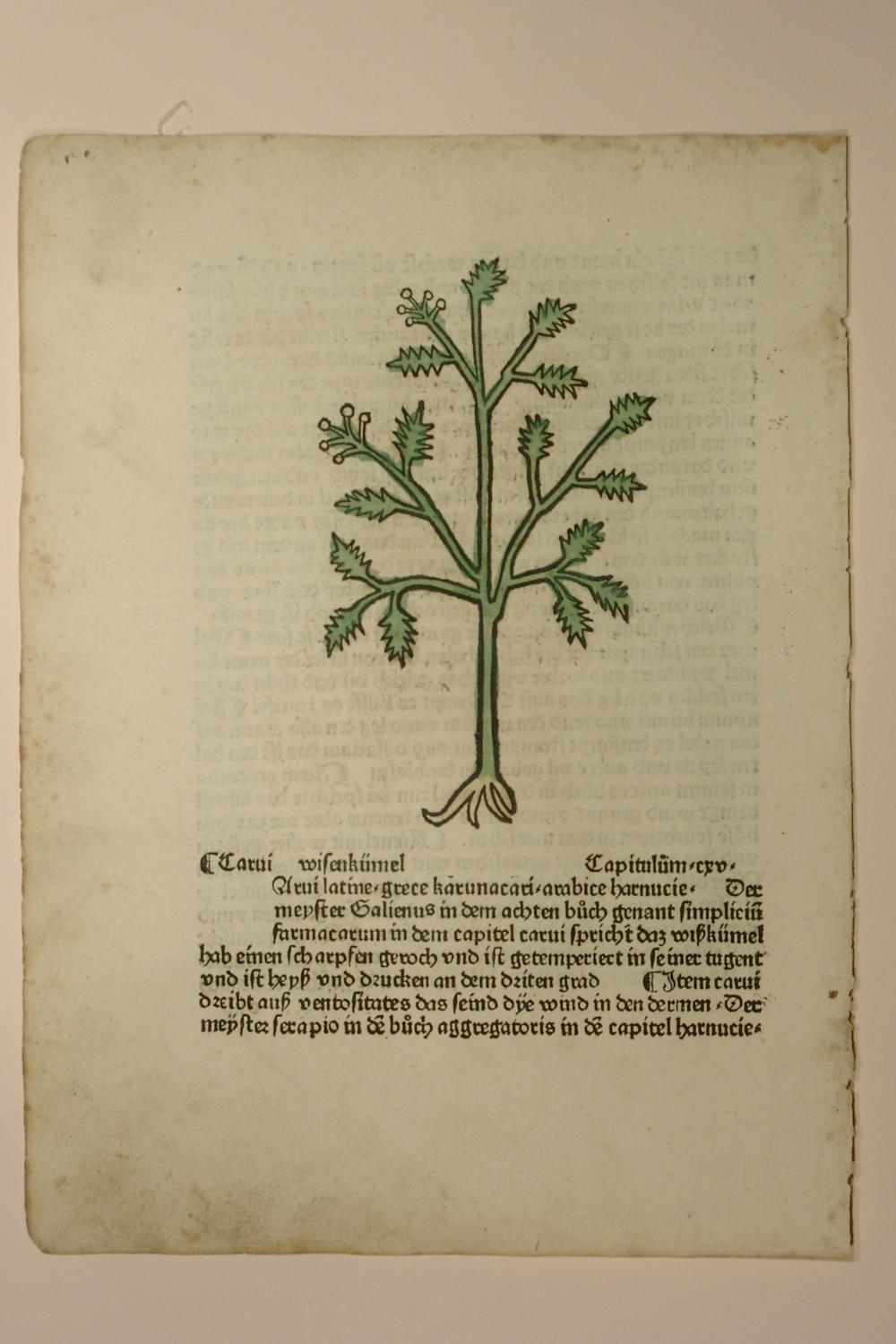 gart der gesundheit von johann von ZVAB