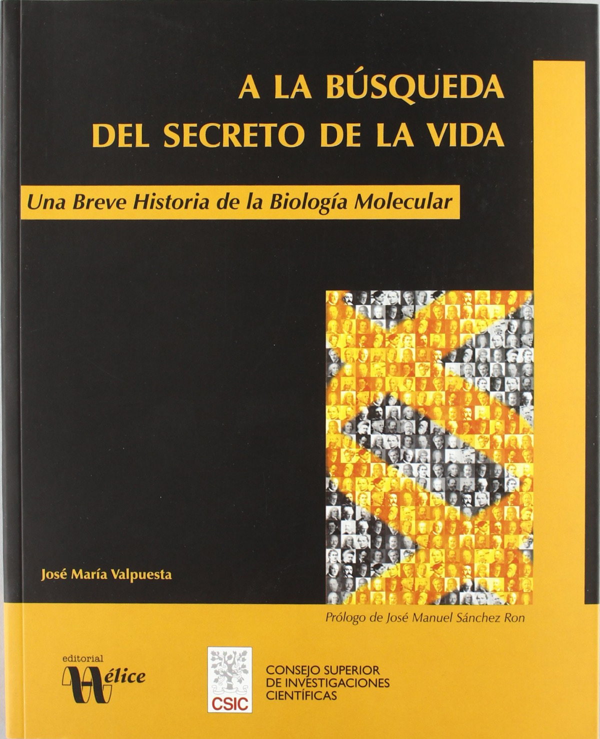 A la búsqueda del secreto de la vida. Una breve historia de la Biología Molecular - Valpuesta Moralejo, José María