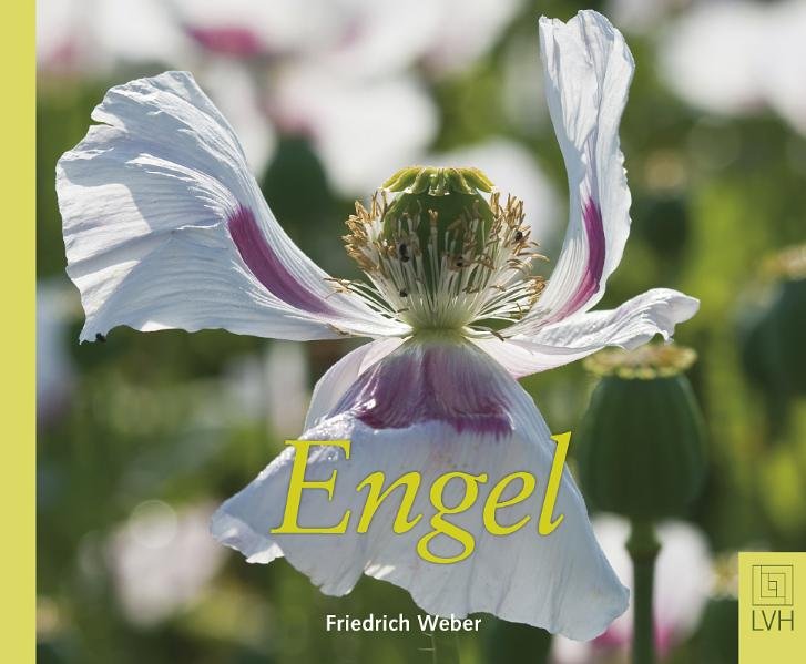Engel - Weber, Friedrich