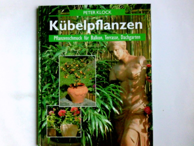 Kübelpflanzen. Pflanzenschmuck für Balkon, Terrasse und Dachgarten - Klock, Peter