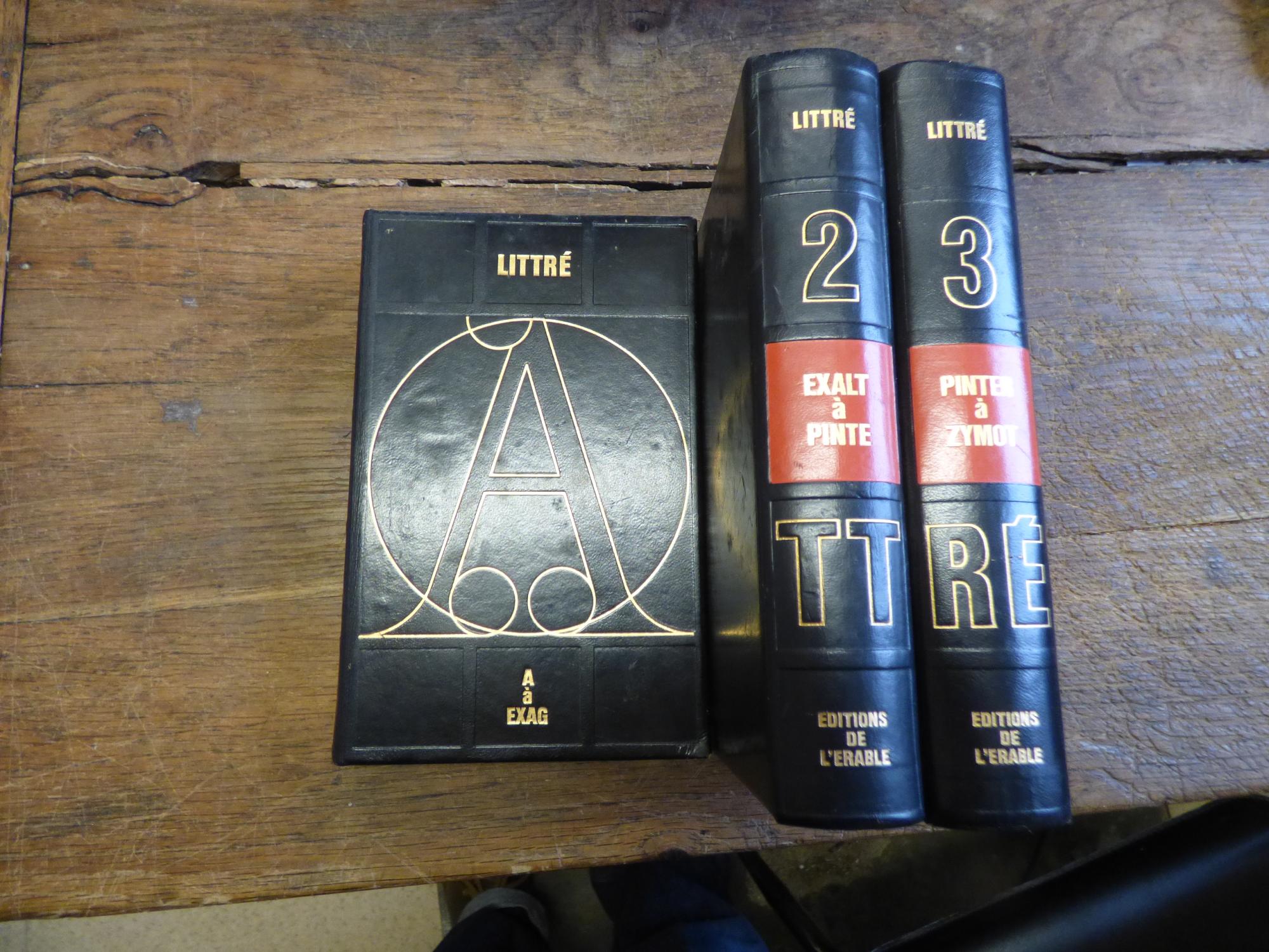 DICTIONNAIRE LITTR visual data 2