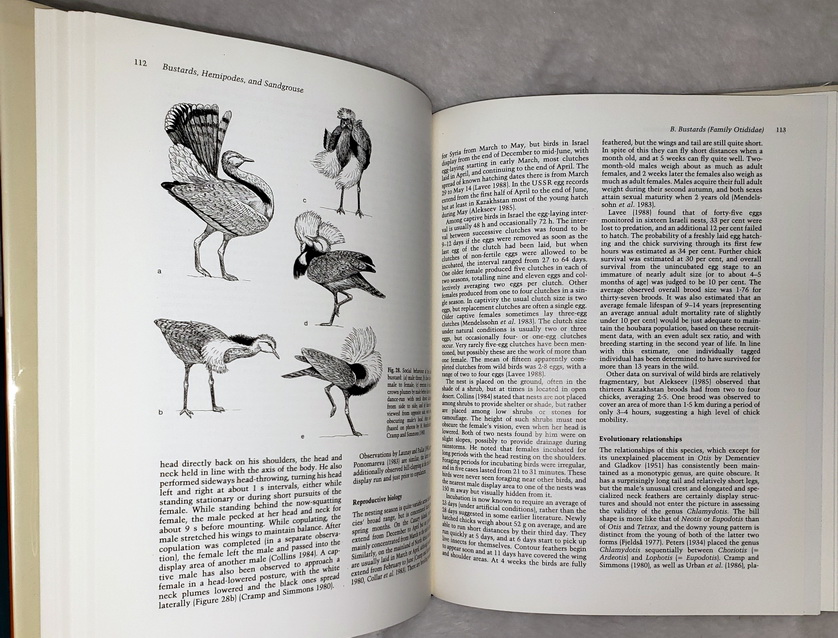 スーパーセール 半額タイムセール Bustards, Hemipodes, by Places Dry of Birds Sandgrouse: and 生物学