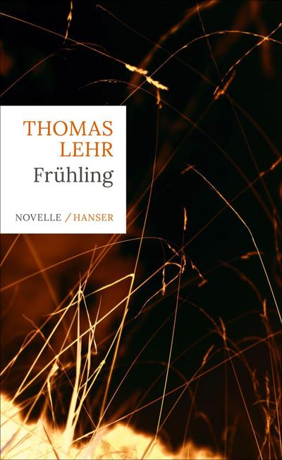 Frühling : Novelle - Thomas Lehr