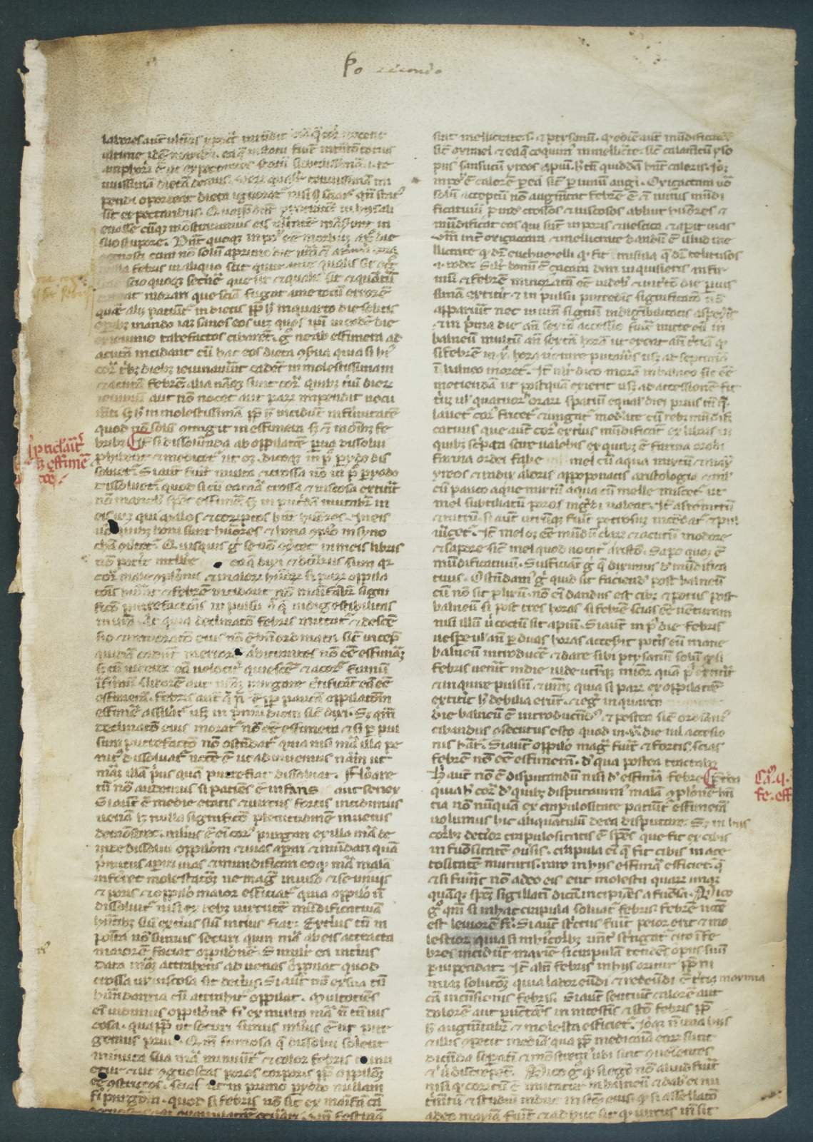 A Vellum Manuscript Leaf From A Medical Treatise In Latin 1275 Phillip J Pirages Rare Books Abaa A Vellum Manuscript Leaf From A Medical Treatise In Latin 1275 Phillip J Pirages Rare Books Abaa
